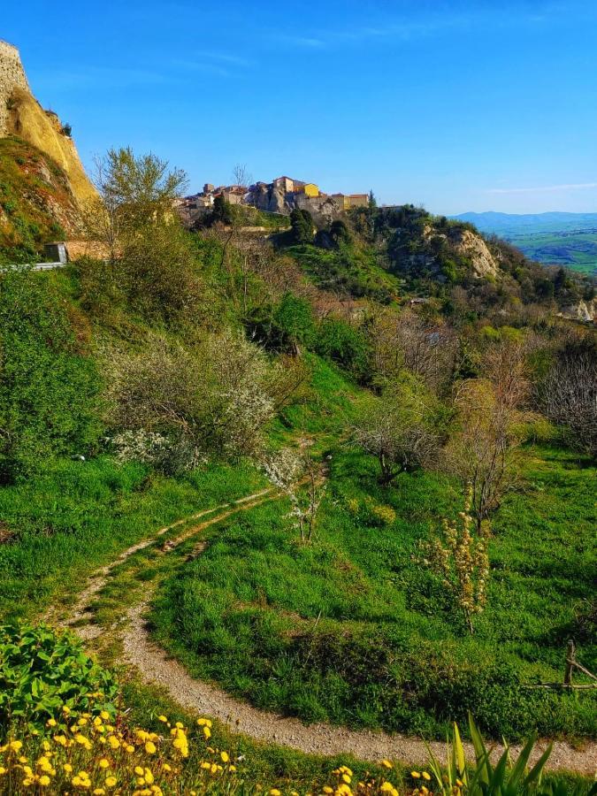 Baselice Borgo Sciugolo Bed & Breakfast エクステリア 写真